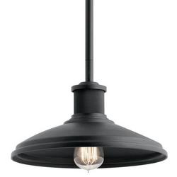 100W 1-Light Medium E-26 Incandescent Outdoor Pendant in Textured Black