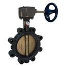 NIBCO Ductile Iron Lug EPDM Locking Lever Handle Butterfly Valve 