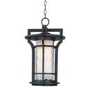 Maxim Lighting&reg; Black Oxide 12W 1-Light Medium E-26 LED Outdoor Pendant 