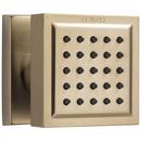 Brizo Luxe Gold Single Function Body Spray 