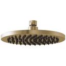 Single Function Showerhead in Luxe Gold