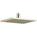 Single Function Soft Full Showerhead in Brilliance Polished Nickel