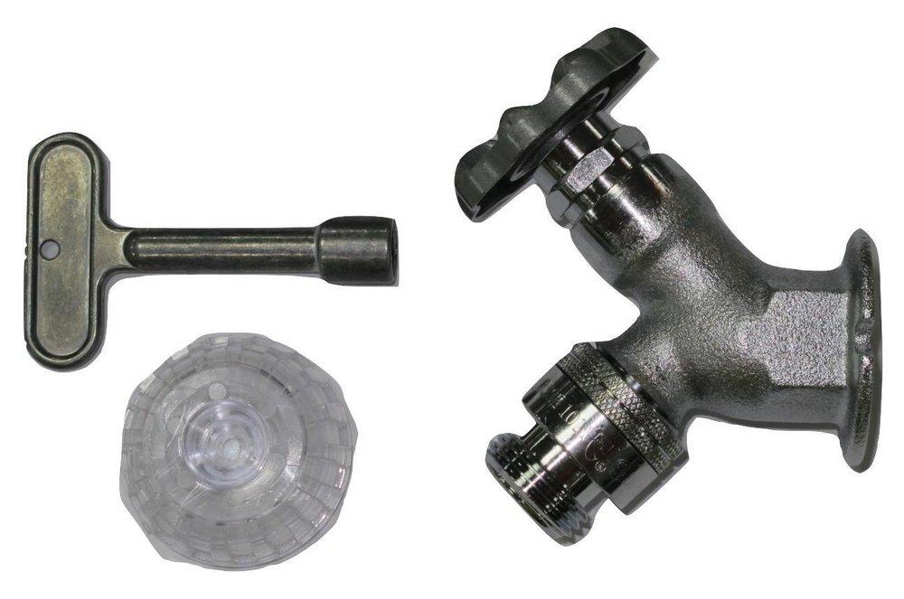 PROFLO® Rough Chrome FPT Area Wall Faucet in Rough Chrome 