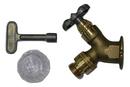 3/4 in. FPT Area Wall Faucet in Rough Brass