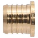 1-1/4" Barbed Test Plug 