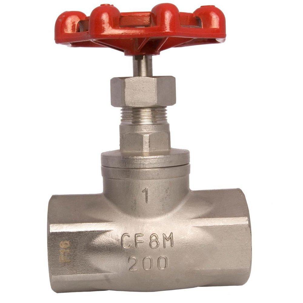 Dragon Valves 316 Stainless Steel MNPT x FNPT Globe Valve 