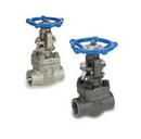 JFW Industries Stainless Steel Socket Weld Gate Valve 