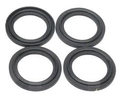 2 in. Flanged Clamp Viton Sanitary Gasket