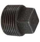 Standard Carbon Steel Square Head Plug 
