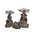 2 in. Forged Steel Threaded Globe Valve