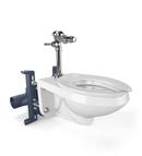 Zurn Chrome Plated Closet Flush Valve 