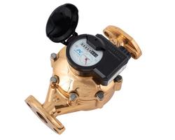 2 in. NPSM T-10 Register Water Meter - US Gallons
