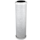Pentair Carbon Odor/Sediment Filter Cartridge 