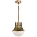 Visual Comfort & Co. Signature Antique Burnished Brass 60W 1-Light Medium E-26 Incandescent Pendant Light 