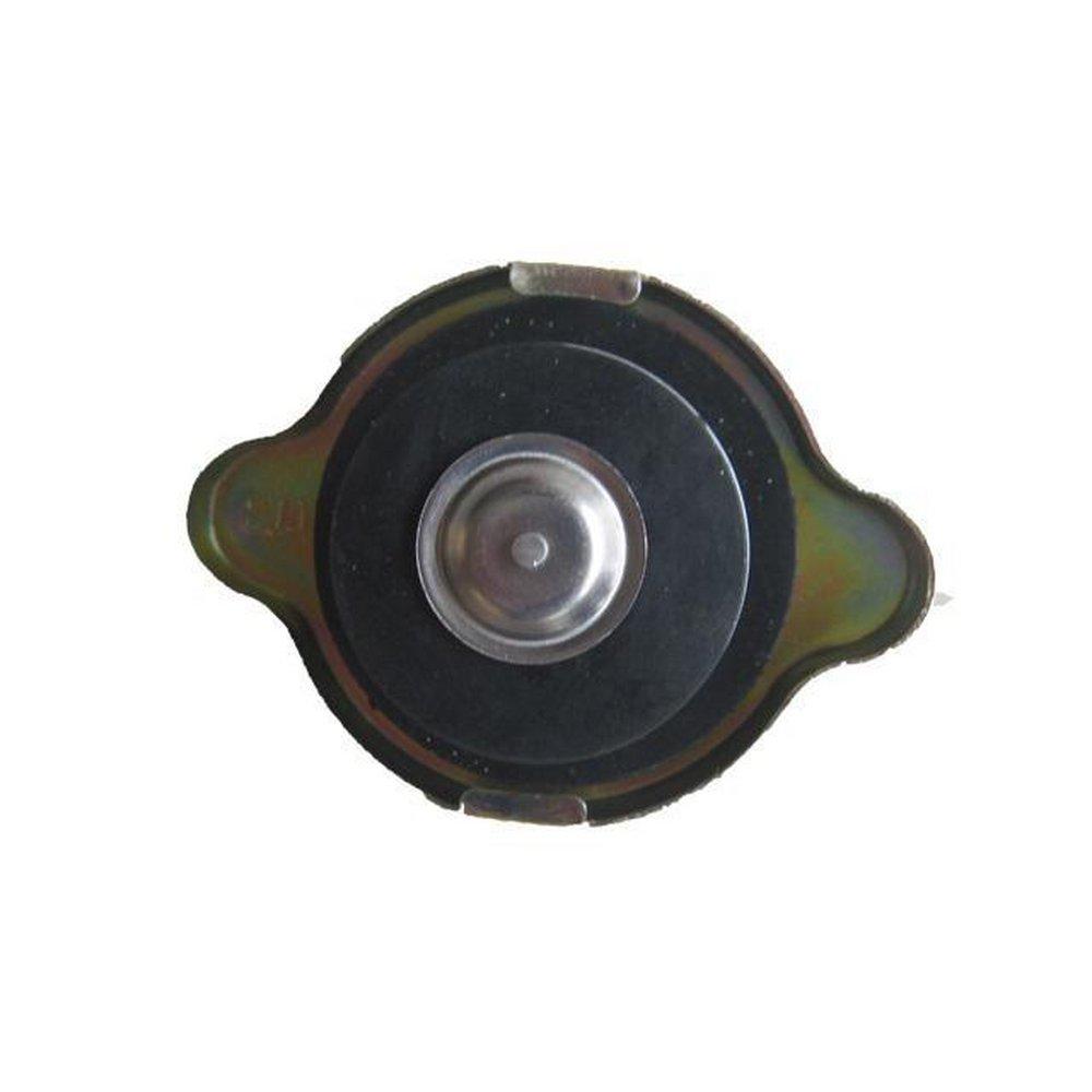 IPS PC200 SDR 13.5 Plastic Cap with 18 in. Pump 