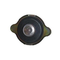 12 in. IPS PC200 SDR 13.5 Plastic Cap with 18 in. Pump