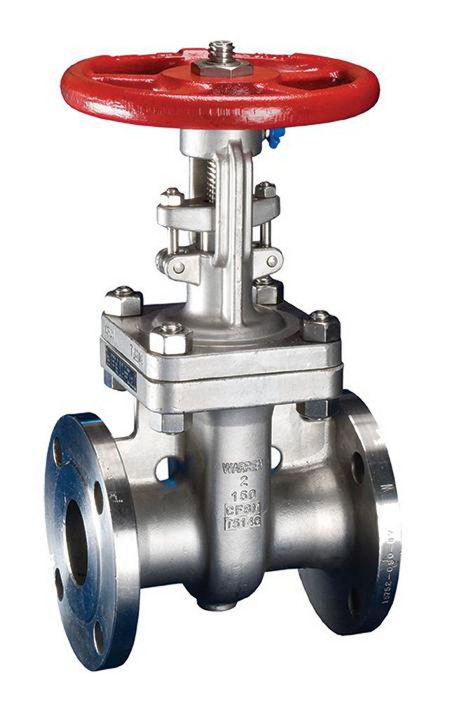 Warren Valve LP Stainless Steel Flanged Gate Valve 