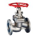 Warren Valve LP Stainless Steel Flanged Globe Valve 