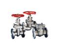 4 in. Stainless Steel Flanged Swing Check Valve