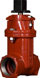 American Flow Control Threaded Ductile Iron AIS Open Left 250 psig Resilient Wedge Gate Valve 