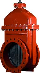 American Flow Control Flanged Ductile Iron Open Left Resilient Wedge Gate Valve 
