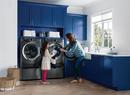 Electrolux Titanium 27 in. 8 cu. ft. Electric Dryer 