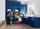 Electrolux Titanium 27 in. 8 cu. ft. Electric Dryer 
