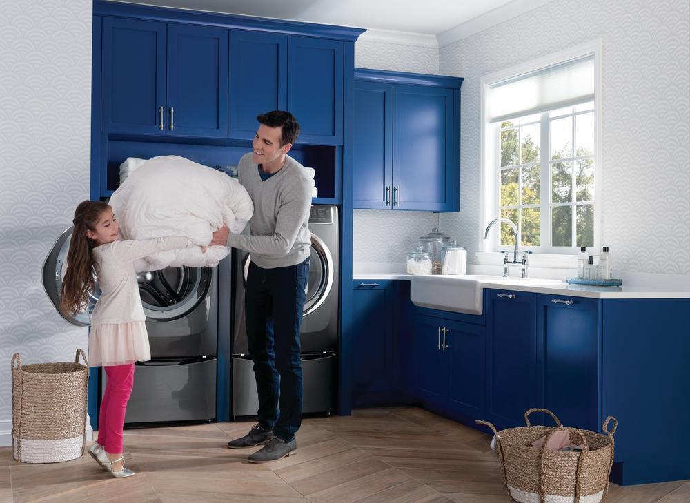 Electrolux Titanium 27 in. 8 cu. ft. Electric Dryer 