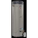 Rheem 120V 200 MBH Natural and Propane Commercial Water Heater 