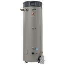 Rheem 120V 200 MBH Natural and Propane Commercial Water Heater 
