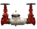 8 in. Ductile Iron Flanged 350 psi Backflow Preventer