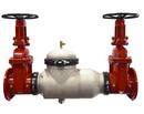 Zurn Wilkins Polished Stainless Steel Ductile Iron Flanged 350 psi Backflow Preventer 