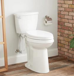 Elongated Toilet Bowl in White