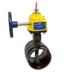 4 in. Ductile Iron Grooved EPDM Gear Operator with Switch Butterfly Valve
