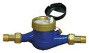 Pulsafeeder 0.25 - 20 gpm 1 gpc NPT Plastic Contacting Water Meter 