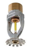 Globe Fire Sprinkler Corporation Chrome Plated 1/2 in. 175F 5.6K Pendent, Quick Response and Standard Coverage Sprinkler Head 