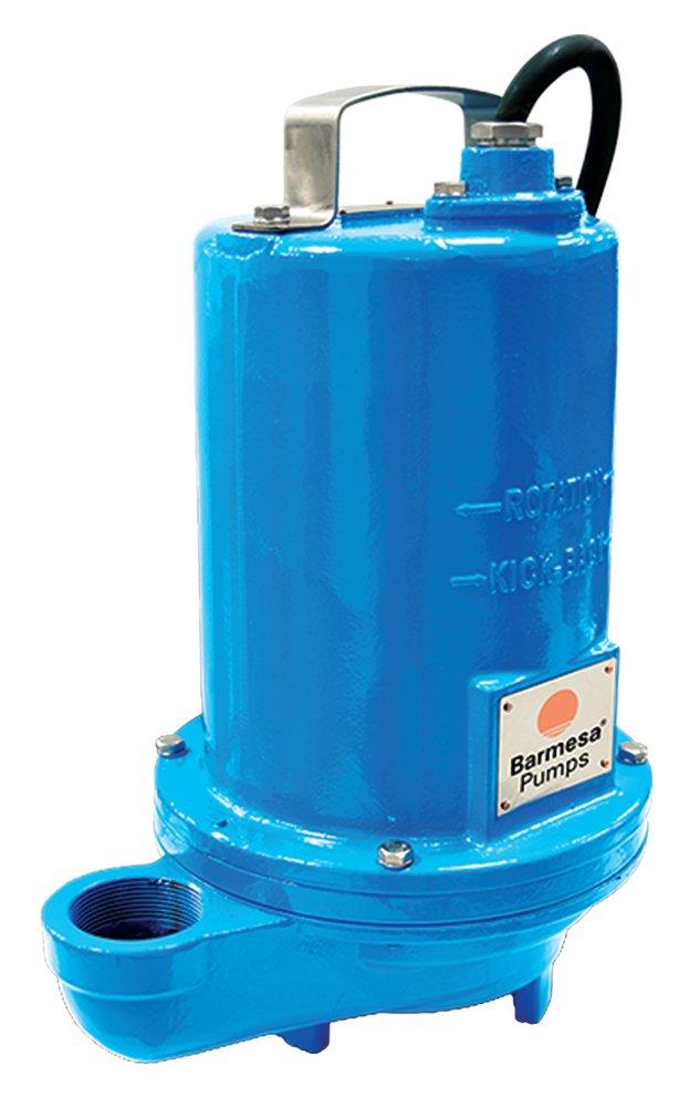 Barmesa Pumps 2 in. 115V 13.1A FNPT Cast Iron Submersible Sewage Pump 