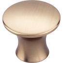 Top Knobs Honey Bronze 1-5/16 in. Zinc Alloy Cabinet Knob 