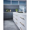 Top Knobs Brushed Satin Nickel 1-1/8 in. Zinc Alloy Cabinet Knob 