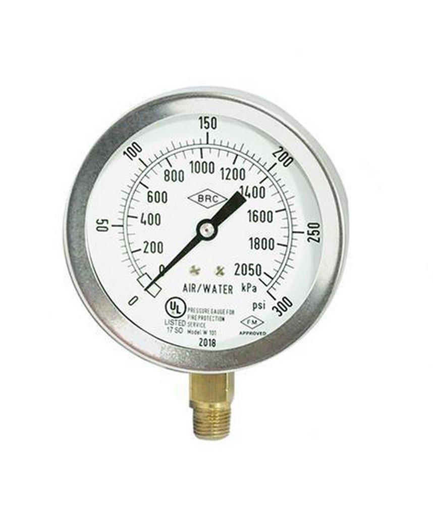 Brecco White 300# NPT Stainless Steel and Brass Air or Water Gauge 