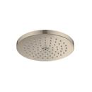 Hansgrohe Brushed Nickel Single Function PowderRain Showerhead 