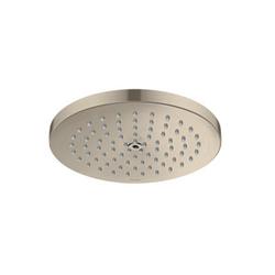 Single Function Showerhead in Brushed Nickel
