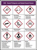 32 x 20 in. GHS Pictogram Poster