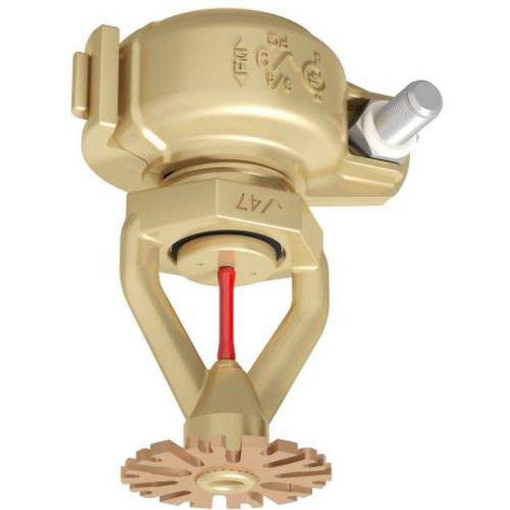 Victaulic Plain Brass 3/4 in. 155F16.8K Pendent, Quick Response and Storage Sprinkler Head 