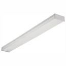 Elite Lighting 2-Light Fluorescent Linear Ceiling Fixture 