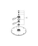 GROHE StarLight&reg; Chrome Single Function Rain Showerhead 