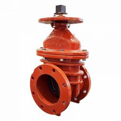 8 in. Cast Iron Flanged Gate Valve