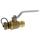 3/4 in. Forged Copper Alloy Full Port Press 250# Ball Valve