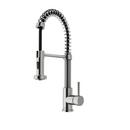 Vigo Industries Stainless Steel Pull Down Kitchen Faucet 
