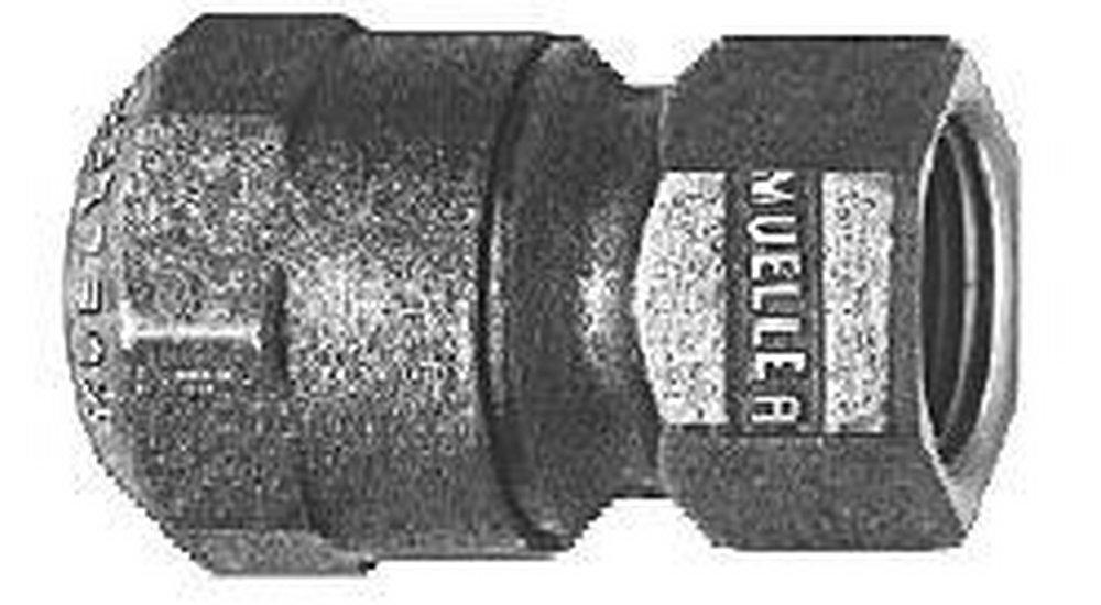 Mueller Company CTS x FIP Brass Coupling 